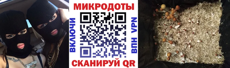mega ССЫЛКА  Каневская  Псилоцибиновые грибы Psilocybine cubensis 